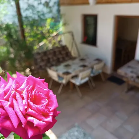 Dóra Apartament *