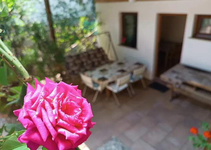 Dóra Apartament *